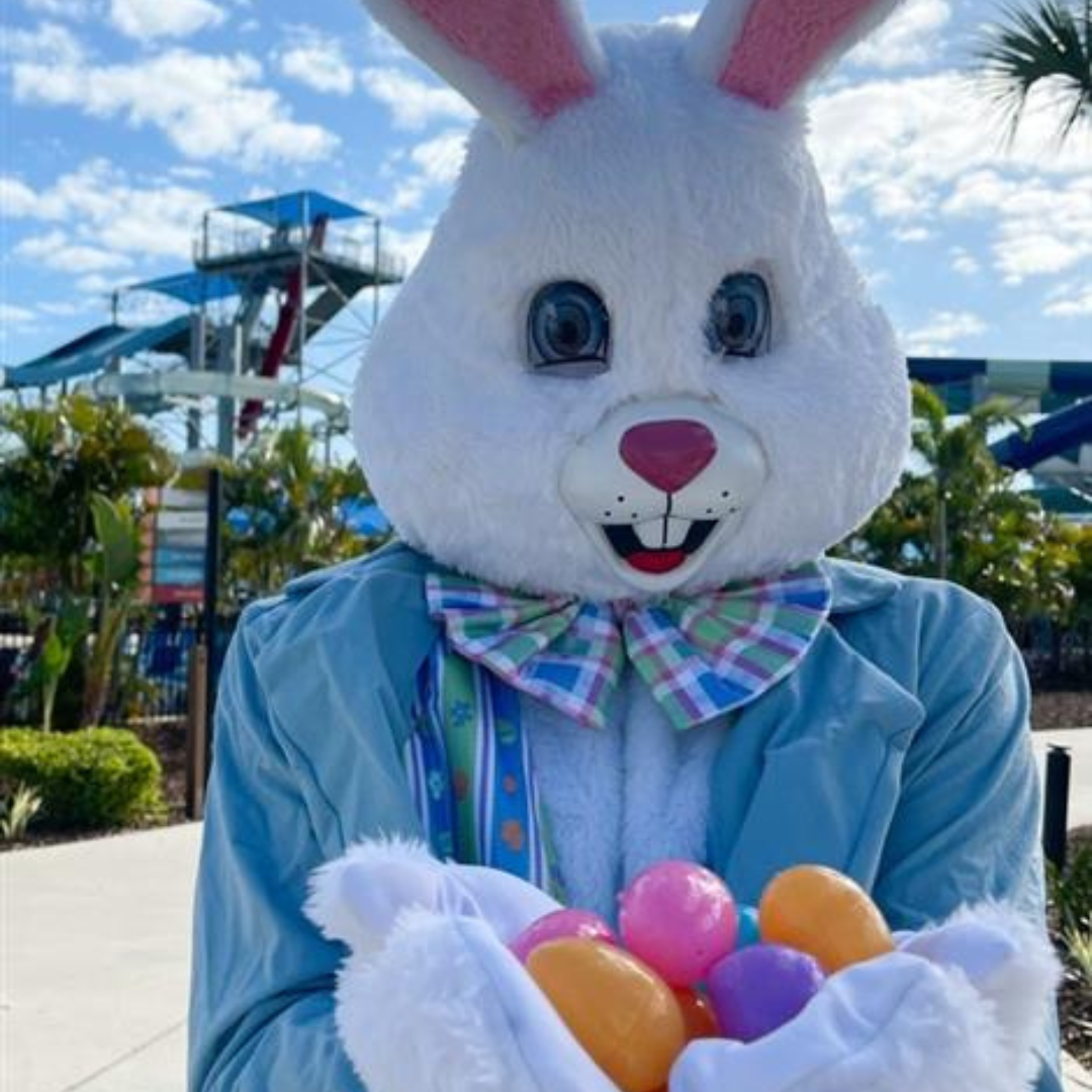 Island H2O 4 Island H2O 4